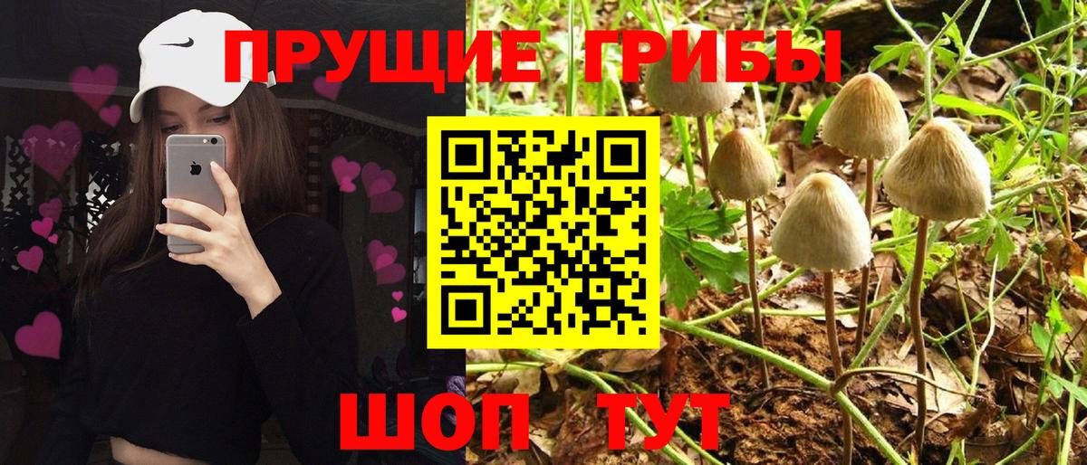 Уварово  Галлюциногенные грибы ЛСД  как найти   Вход с VPN 