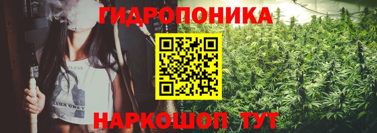 МАРИХУАНА конопля Уварово